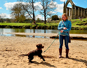 bolton abbey dog on beach