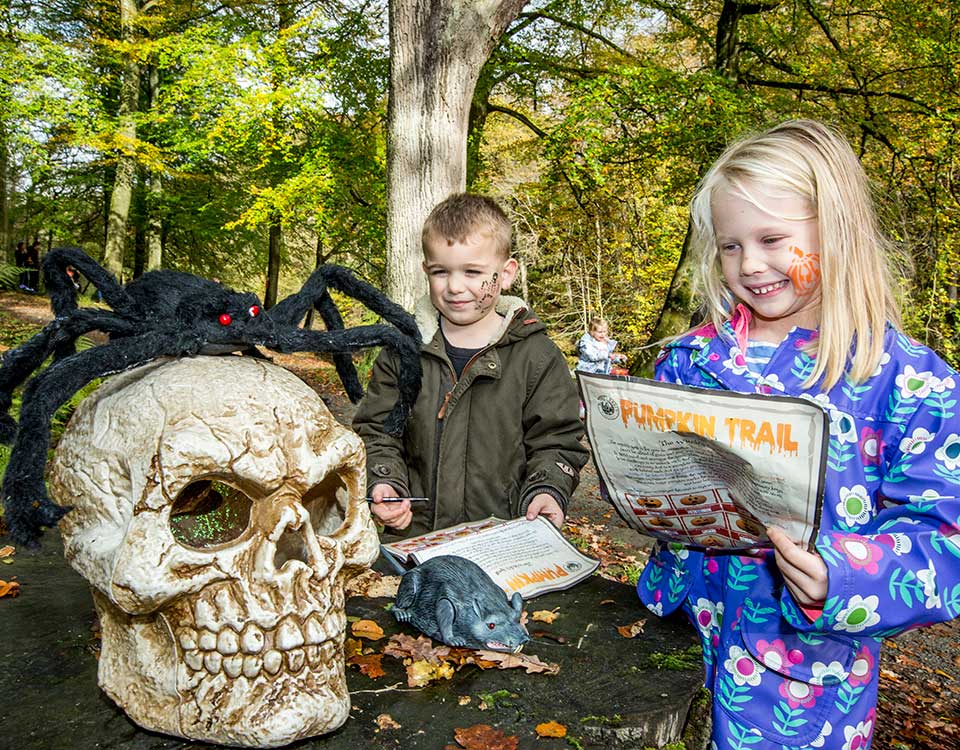 bolton abbey Pumpkin Trail
