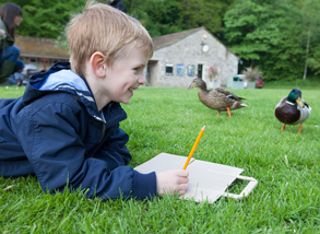 Bolton Abbey Activities for Children Connect with nature