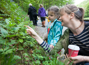 Bolton Abbey Activities for Children Meaning Of Nature