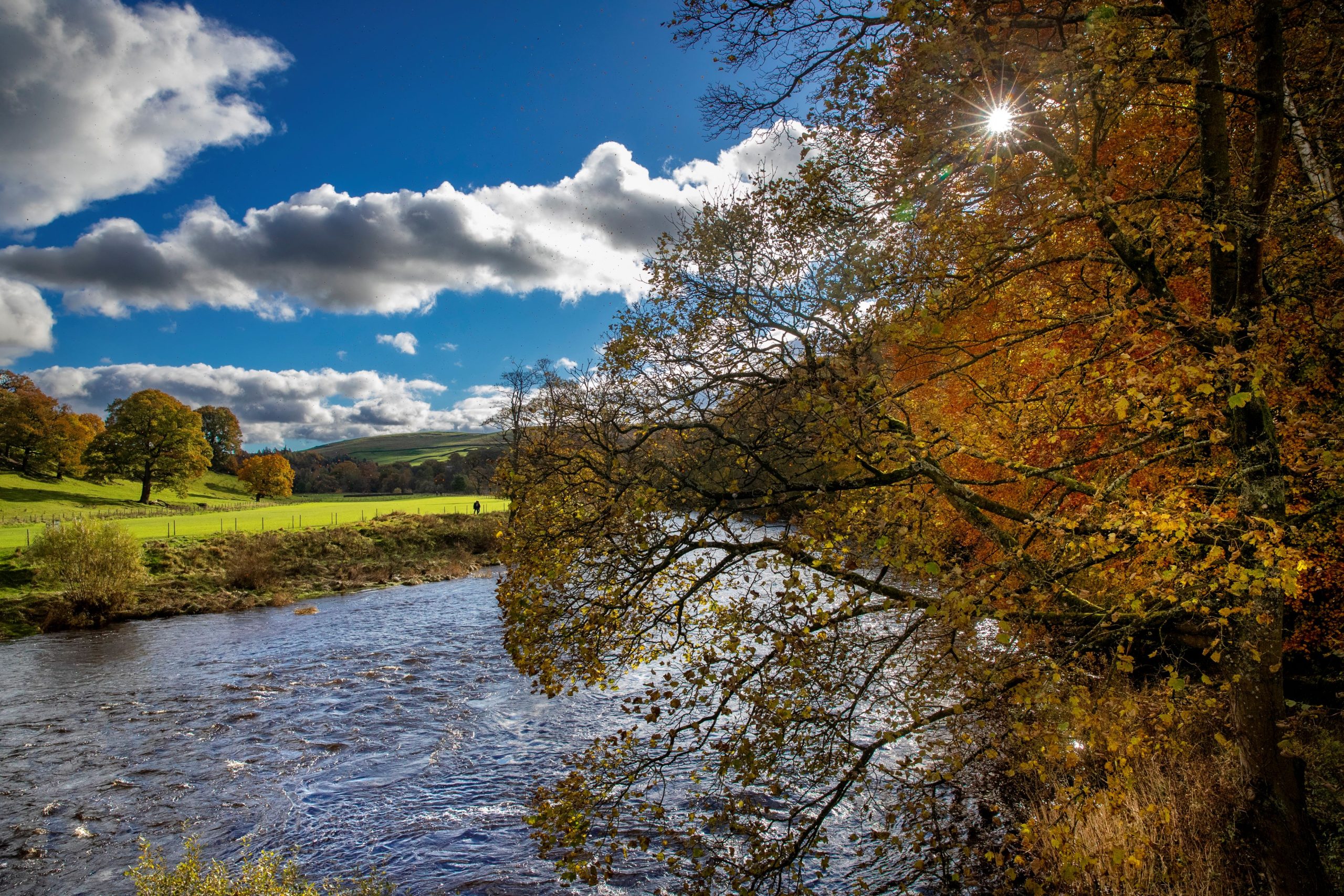 The River Wharfe looking downstream close to Barden Bridge