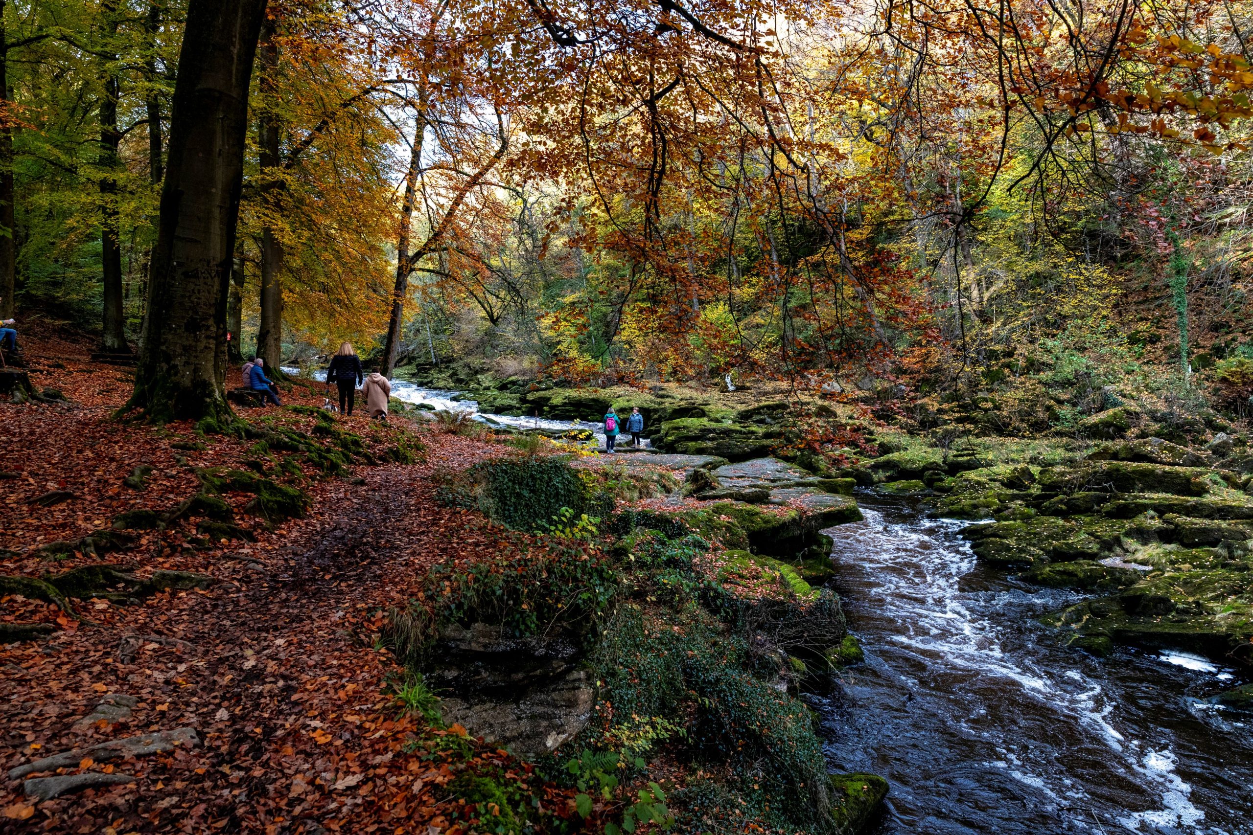 View of Bolton Abbey Priory with frosted fields in the foreground.