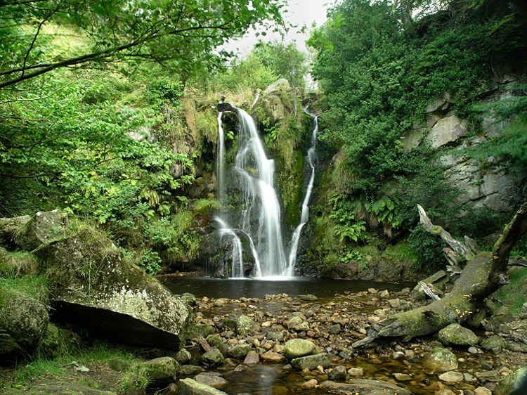 The Valley of Desolation on the Bolton Abbey Estate
