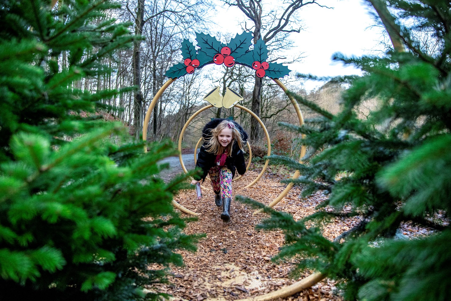 Young girl runs through these larger than life golden rings on the 12 Days of Christmas Trail at Bolton Abbey