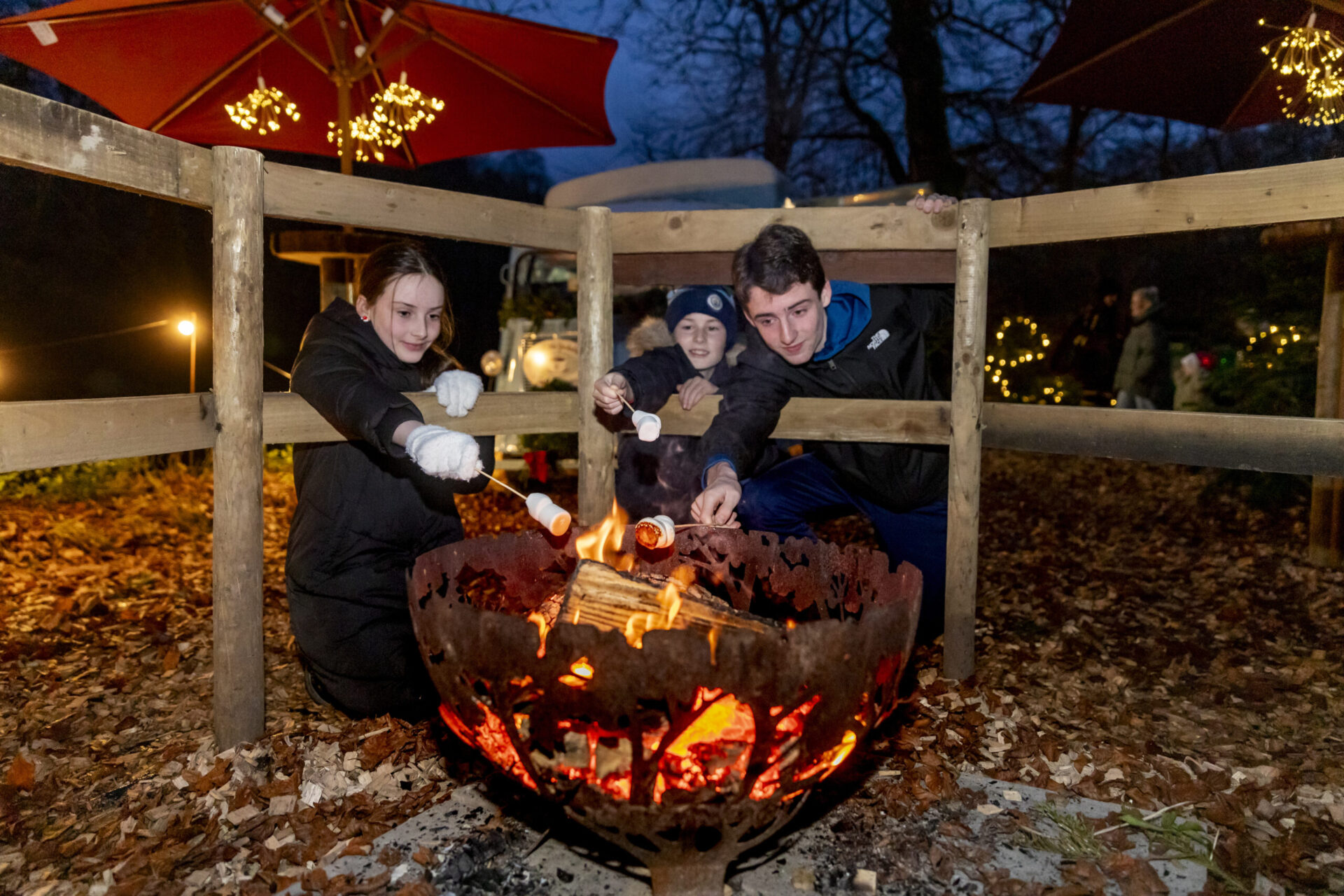 an outdoor fire under the cover of darkness, with three children toasting marshmellows 