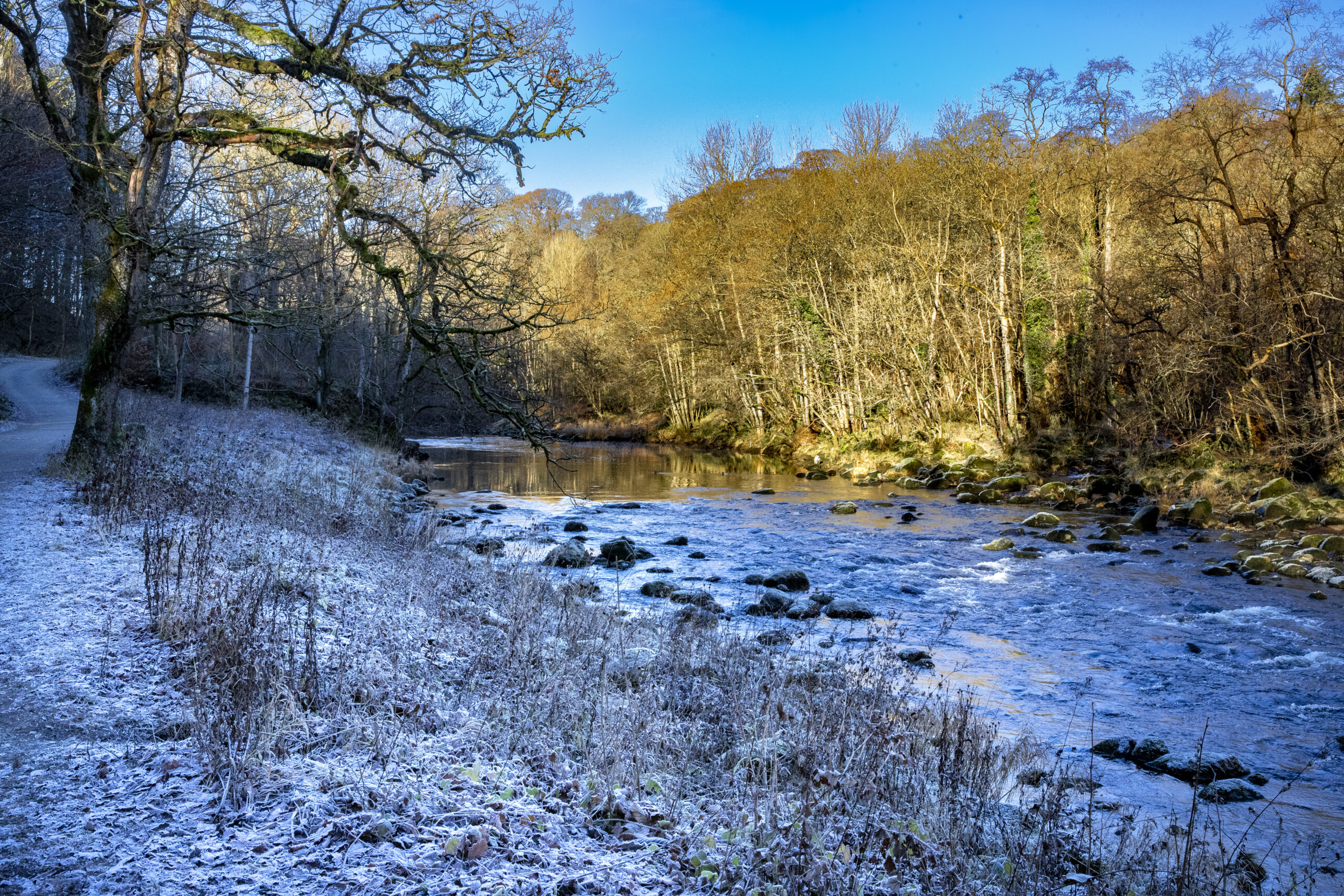 By the River Wharfe with a light dusting of snow in Strid Wood